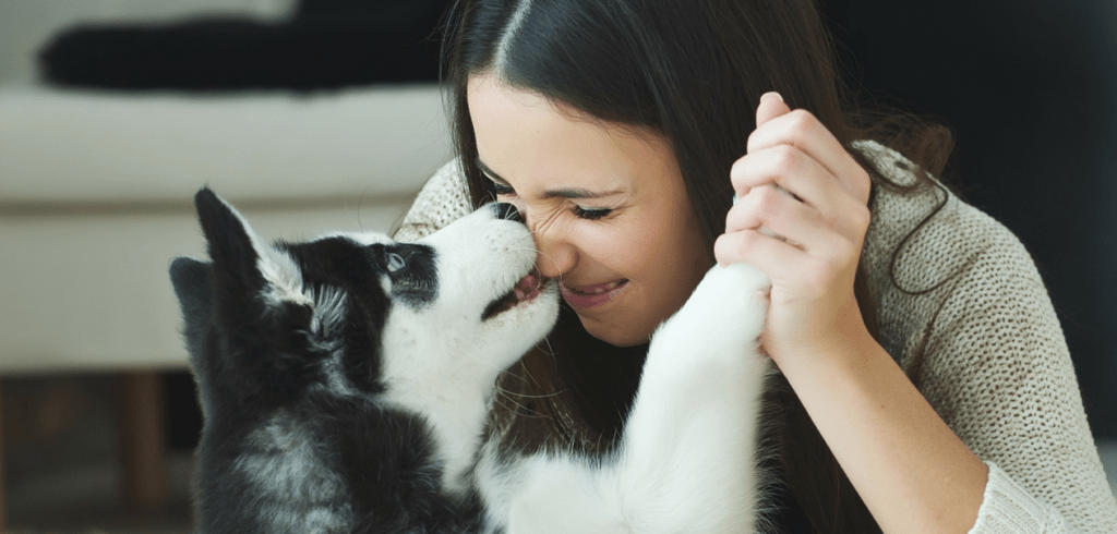 A dog licking the nose of a smiling woman