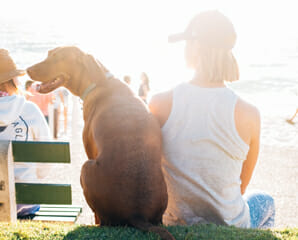 Back view of a dog and woman sitting by the beach