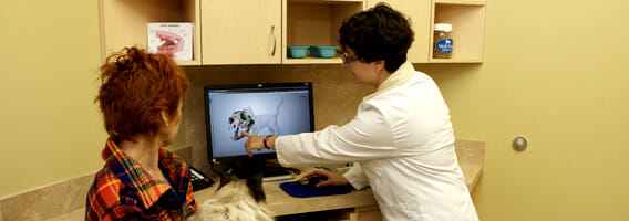 Veterinary staff member pointing at a computer screen beside a patient