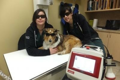 Two veterinary staff members and a dog wearing safety goggles
