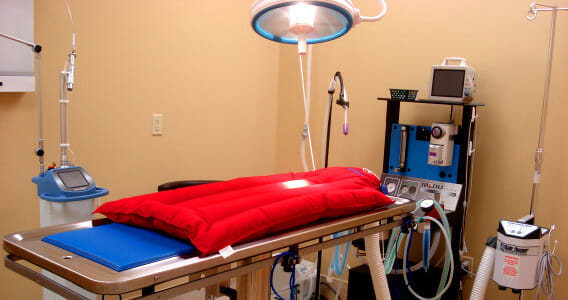 Surgery table and equipment at westbridge veterinary hospital